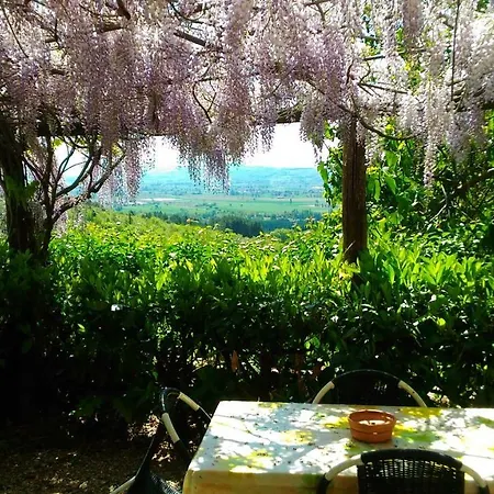Lantgård Agriturismo Calcinaia Sul Lago Sansepolcro