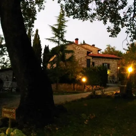 Agriturismo Calcinaia Sul Lago Lantgård Sansepolcro