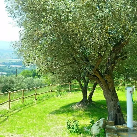 Agriturismo Calcinaia Sul Lago Сансеполькро