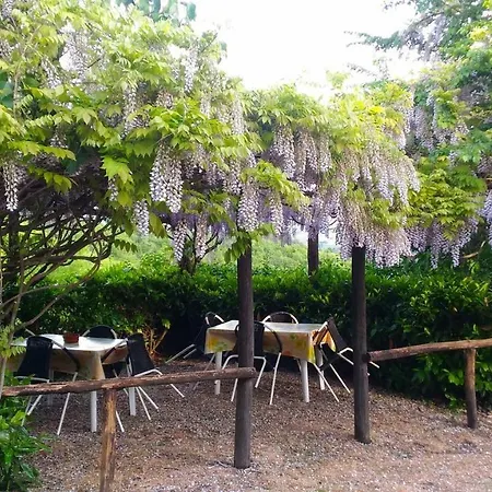 Agriturismo Calcinaia Sul Lago Фермерский дом *